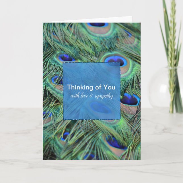 Aqua Blue Peacock Feathers Thinking of You Card (Front)