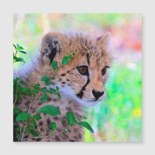 Aqua_Cheetah_20180102