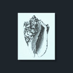 Aqua Conch Shell Canvas Print<br><div class="desc">In this vivid image, you can see in black and white most natural and unique style of the Conch shell up close. This unique type of art has black shading to accent the rough edges of this sea shell. Get this conch shell with an aqua background on your product today....</div>