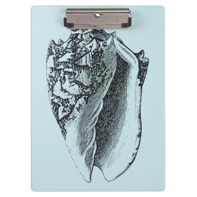 Aqua Conch Shell Clipboard (Front)