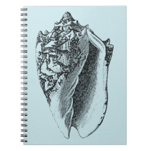 Aqua Conch Shell Spiral Notebook