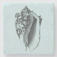 Aqua Conch Shell
