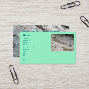 Aqua Damselfly Business Cards