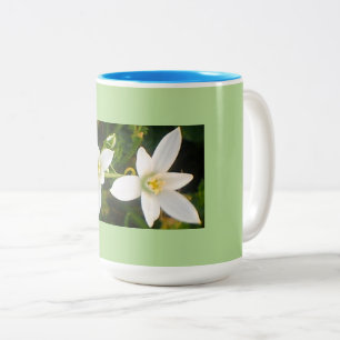 Aqua Green Spring Time Two-Tone Coffee Mug