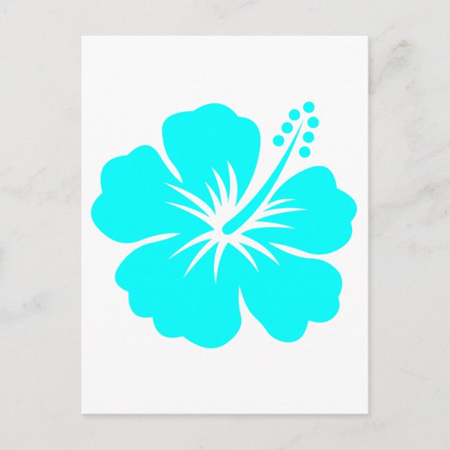 Aqua hibiscus flower design postcard (Front)