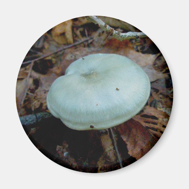 Aqua Mushroom Magnet (Front)