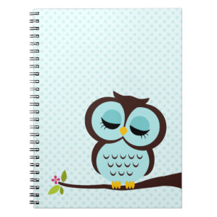 Aqua Owl Spiral Notebook