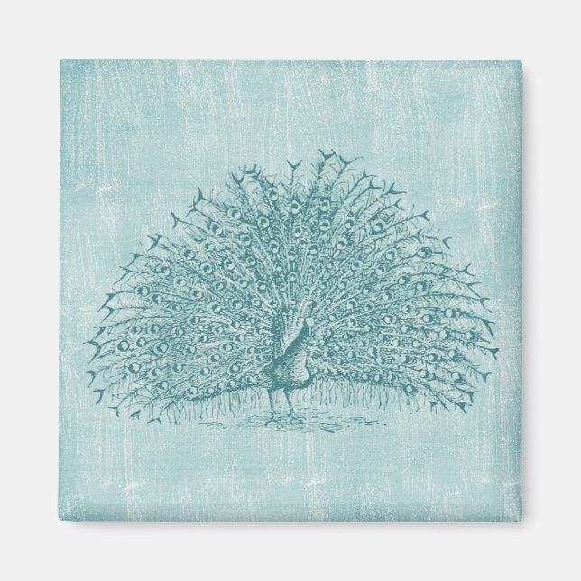 Aqua Peacock Magnet (Front)