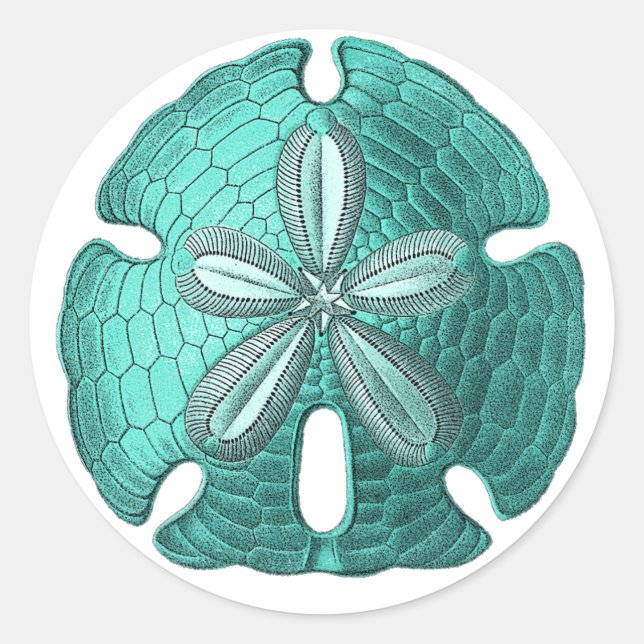 Aqua Sand Dollar Classic Round Sticker (Front)