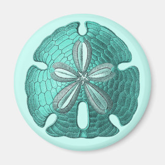 Aqua Sand Dollar Magnet