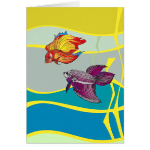 Aqua Sparring Betta Fish