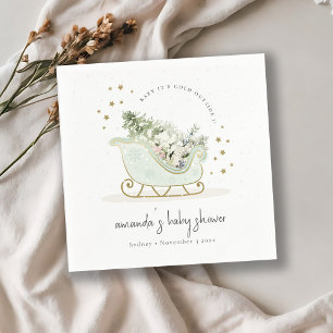Aqua Winter Sleigh Its Cold Outside Baby Shower Napkin
