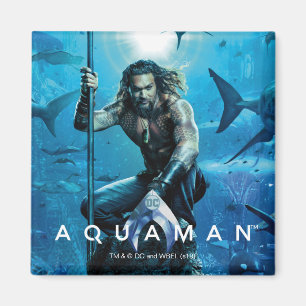Aquaman   Prince Orin With Aquatic Animals Magnet