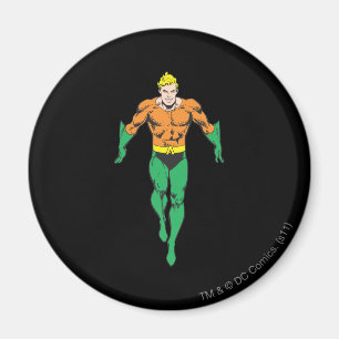 Aquaman Runs Magnet