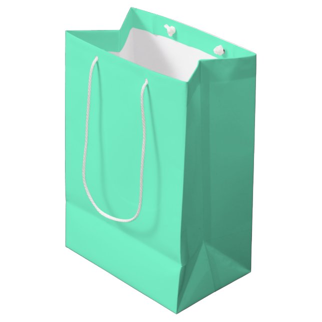 Aquamarine Medium Gift Bag (Front Angled)