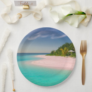 Aquamarine Ocean Tropical Beach Scenic Paper Plate