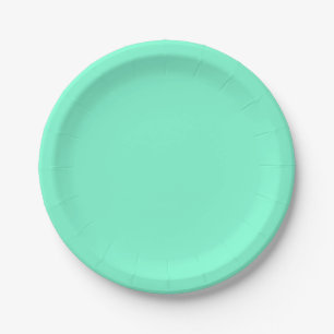 Aquamarine Paper Plates