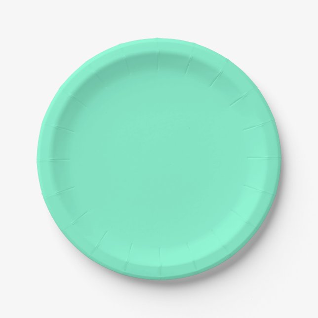 Aquamarine Paper Plates (Front)