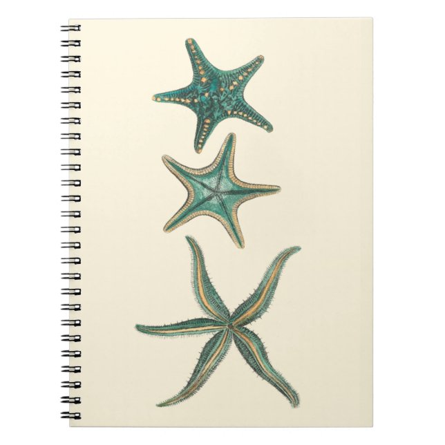 Aquamarine Triple Starfish Spiral Notebook (Front)
