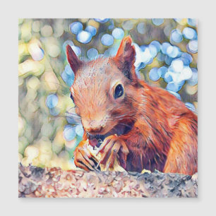 aquarell squirrel