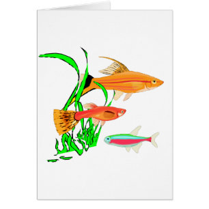 Aquarium