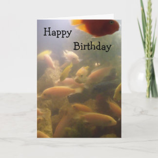 Aquarium Birthday Card
