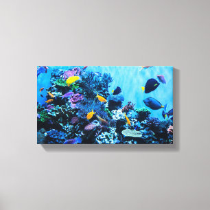 Aquarium Canvas Print