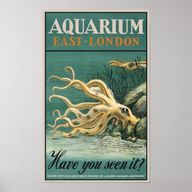 Aquarium, East London- Octopus Poster (Front)