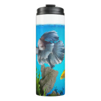 Aquarium Fish 