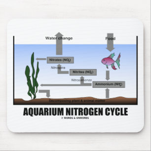 Aquarium Nitrogen Cycle (Ecology) Mouse Pad