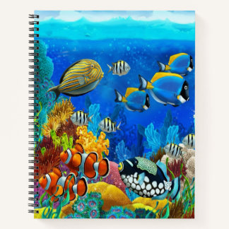 Aquarium Notebook