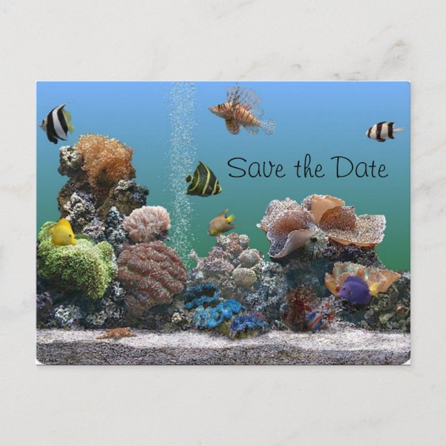 aquarium Save the Date Announcement Postcard (Front)