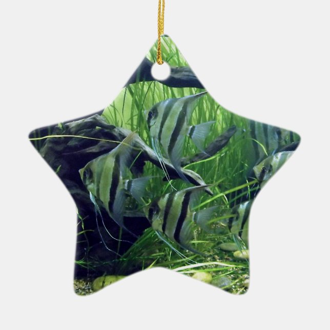 Aquarium Striped Fish Ceramic Tree Decoration (Front)