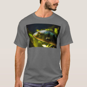 Aquarium striped fish portrait T-Shirt