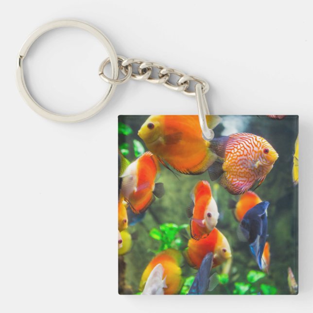 Aquarium Themed Fish Tank Key Ring (Front)