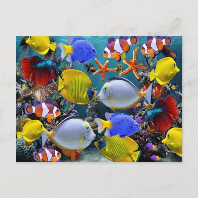 aquarium tropical fish fishing postcard (Front)