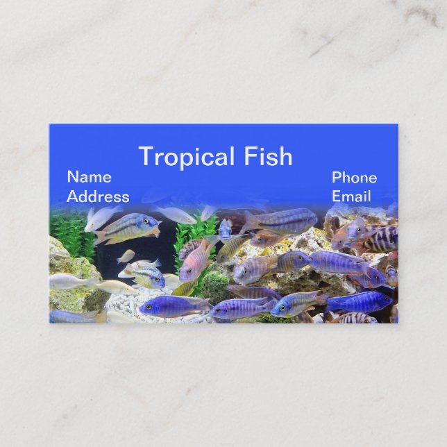 Aquarium with beautiful colourful tropical fish business card (Front)