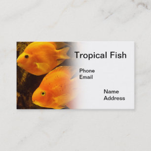 Aquarium with beautiful tropical orange colour business card