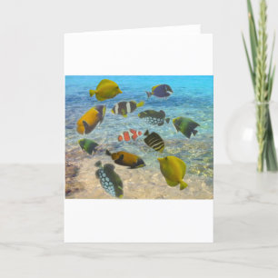 Aquarium with multicolor fishes thank you card
