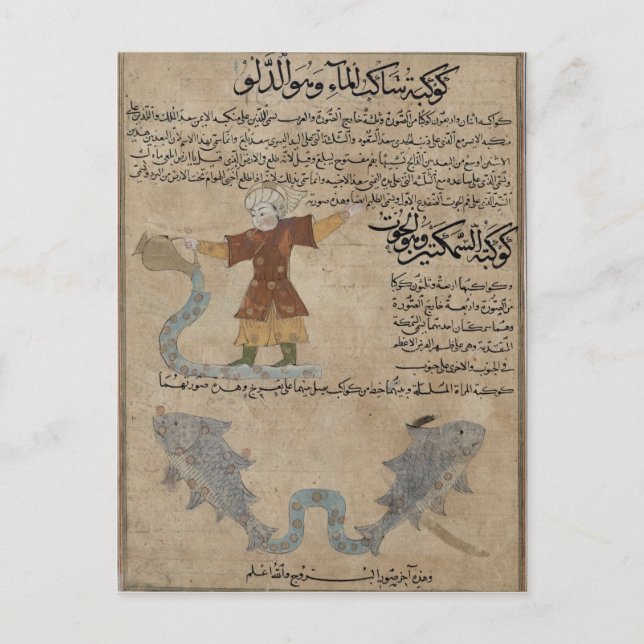 Aquarius and Pisces Postcard (Front)