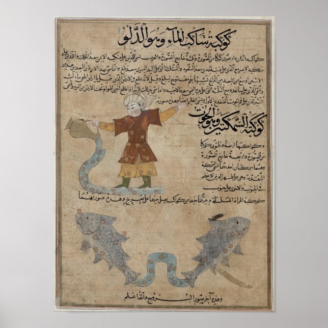 Aquarius and Pisces Poster (Front)