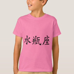 Aquarius - chinese T-Shirt