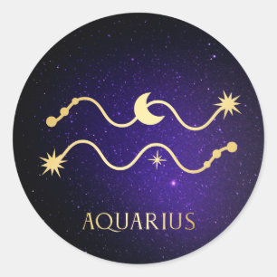 Aquarius Classic Round Sticker