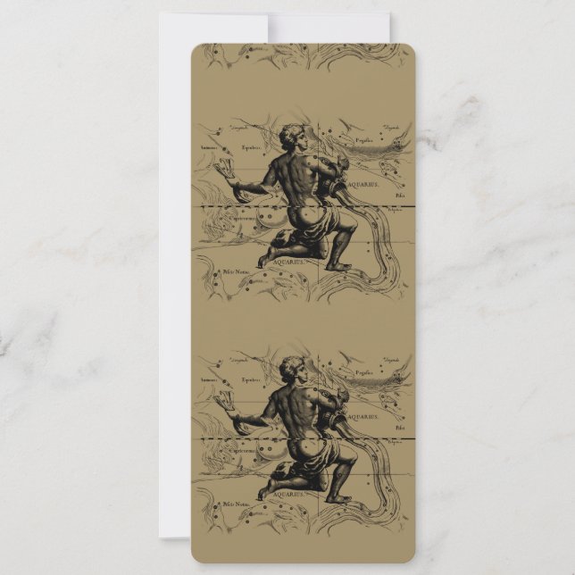 Aquarius Constellation Map Hevelius 1690 on Taupe (Front)