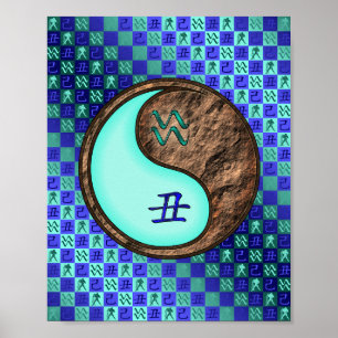 Aquarius & Earth Ox Poster