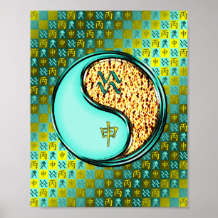 Aquarius & Fire Monkey Poster