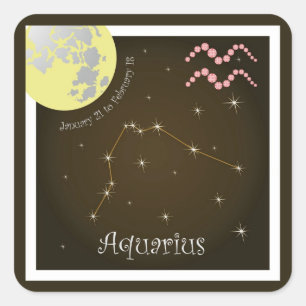 Aquarius January 21 to February 18 Sticker