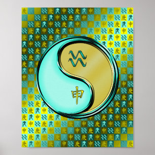 Aquarius & Metal Monkey Poster