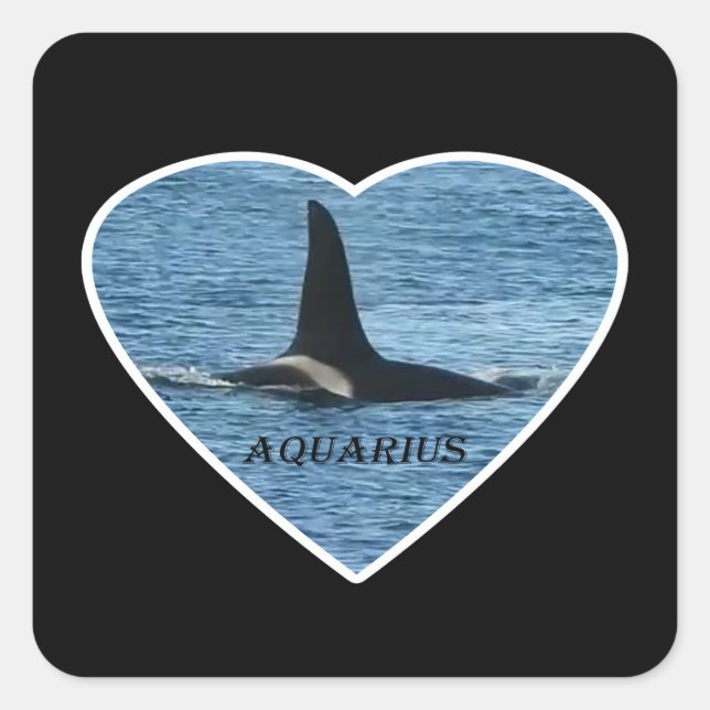 Aquarius Orca West Coast Community Killer Whale  Square Sticker (Front)