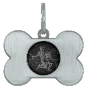 Aquarius Sign Constellation Map by Hevelius Pet Name Tag